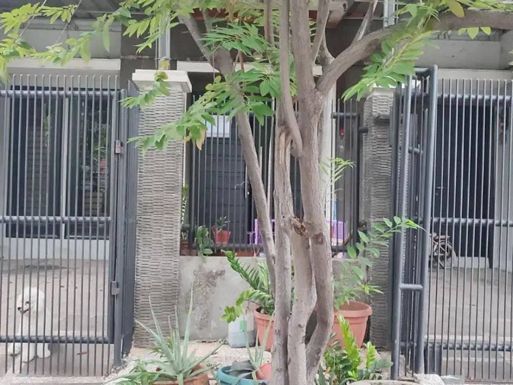 Rumah Taman Pegangsaan Indah, Kelapa Gading, Luas 8x18m2
