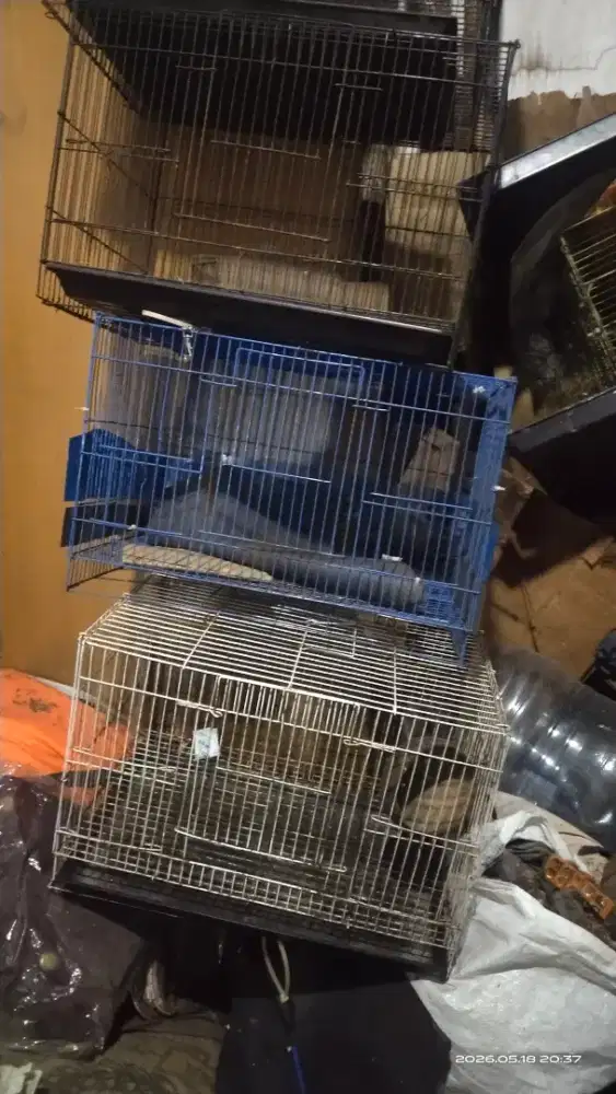 Kandang burung sugar glider ayam dst