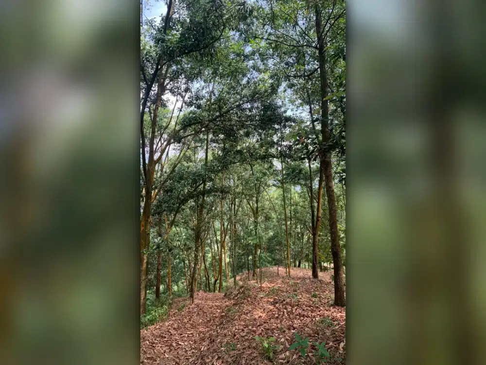 Dijual Lahan Strategis Pinggir Jalan di Subang