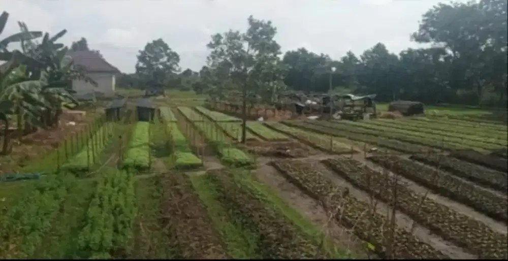 Dijual Tanah di Guntung Manggis