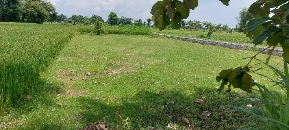Dijual tanah pekarangan siap bangun 350m2.