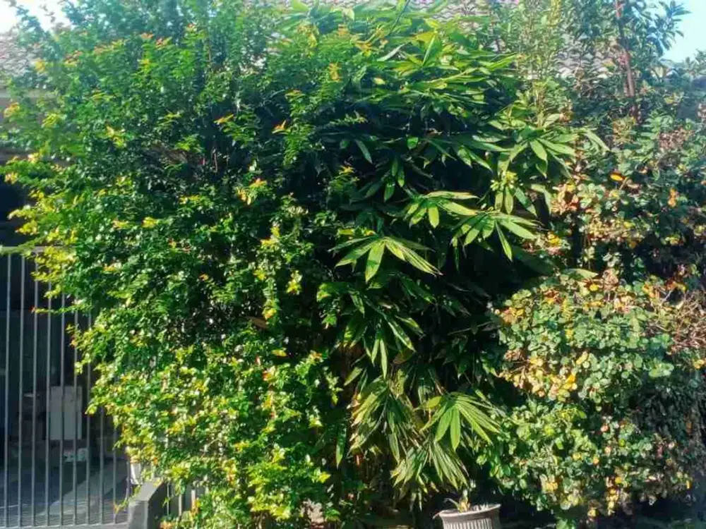 Dijual Rumah Minimalis Siap Huni Gedangan Sidoarjo