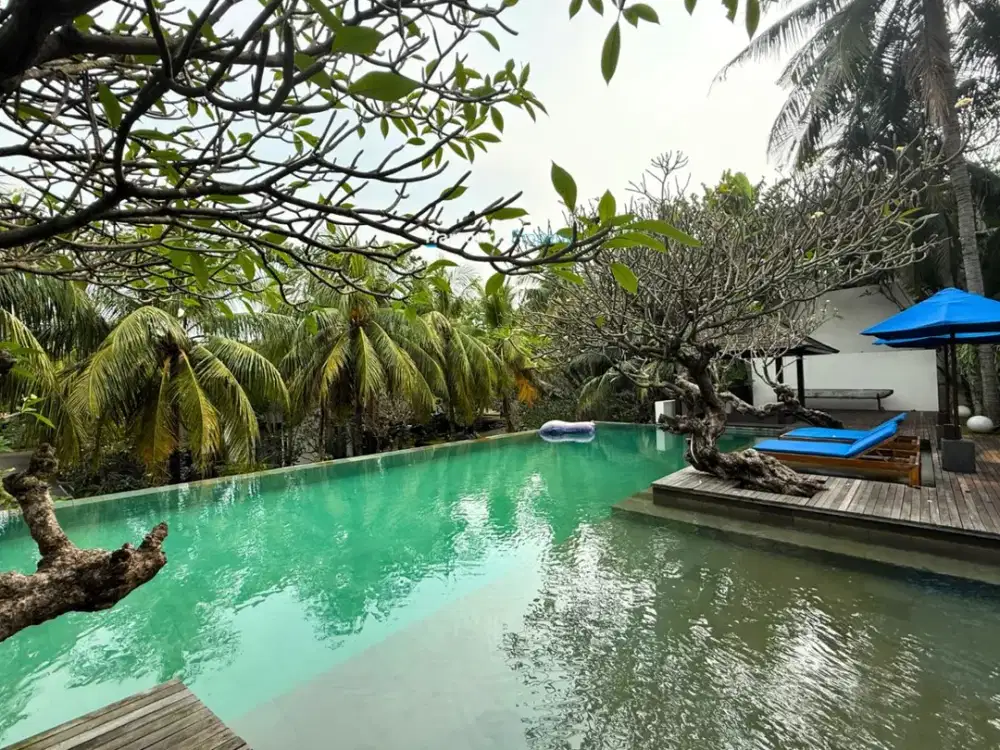 Disewakan Private Luxury Tropical Vibe Resort Apartment, Cipete - Cilandak