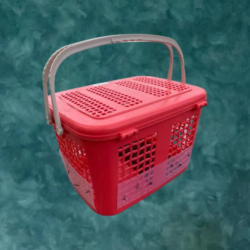 Keranjang, Pet Cargo, Kandang