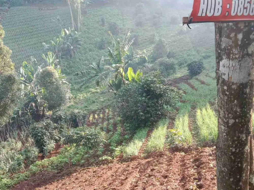 Jual Kebun murah dekat kota Bandung