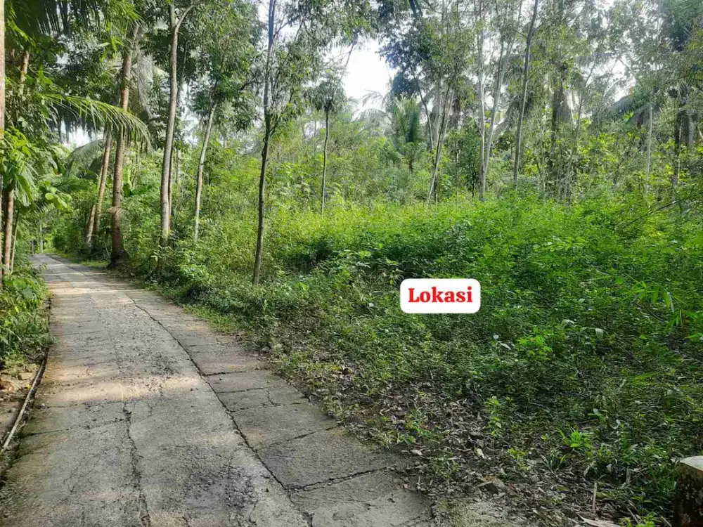 Tanah Murah dekat Balaidesa Sendang sari pengasih Kulon progo