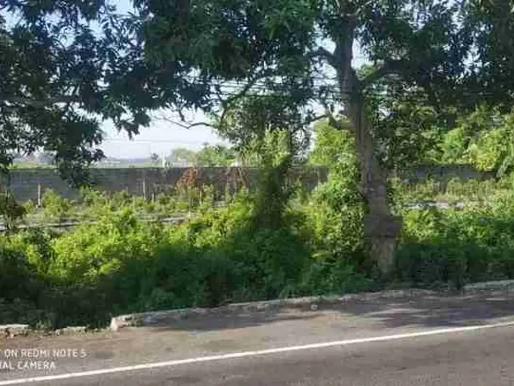 jual murah tanah bagus untuk  bangun ruko ,minimarket kantor ,gudang ,rumah hunian di ,0jalan raya  Gambiran - Mojoagung - Surabaya
