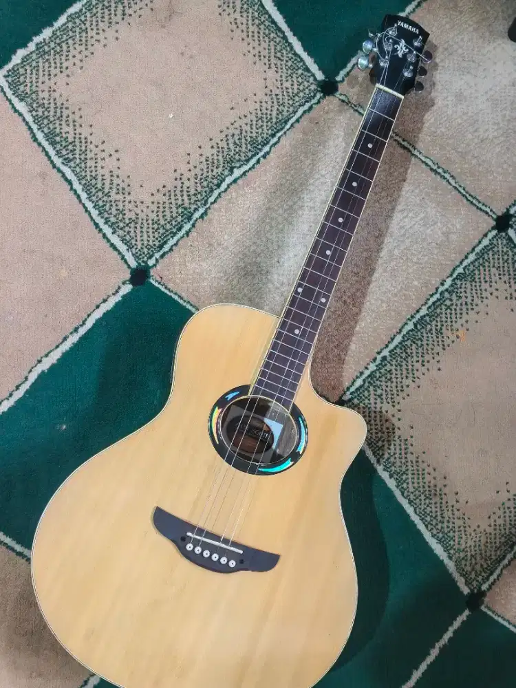 Dijual Gitar Apx 500ii