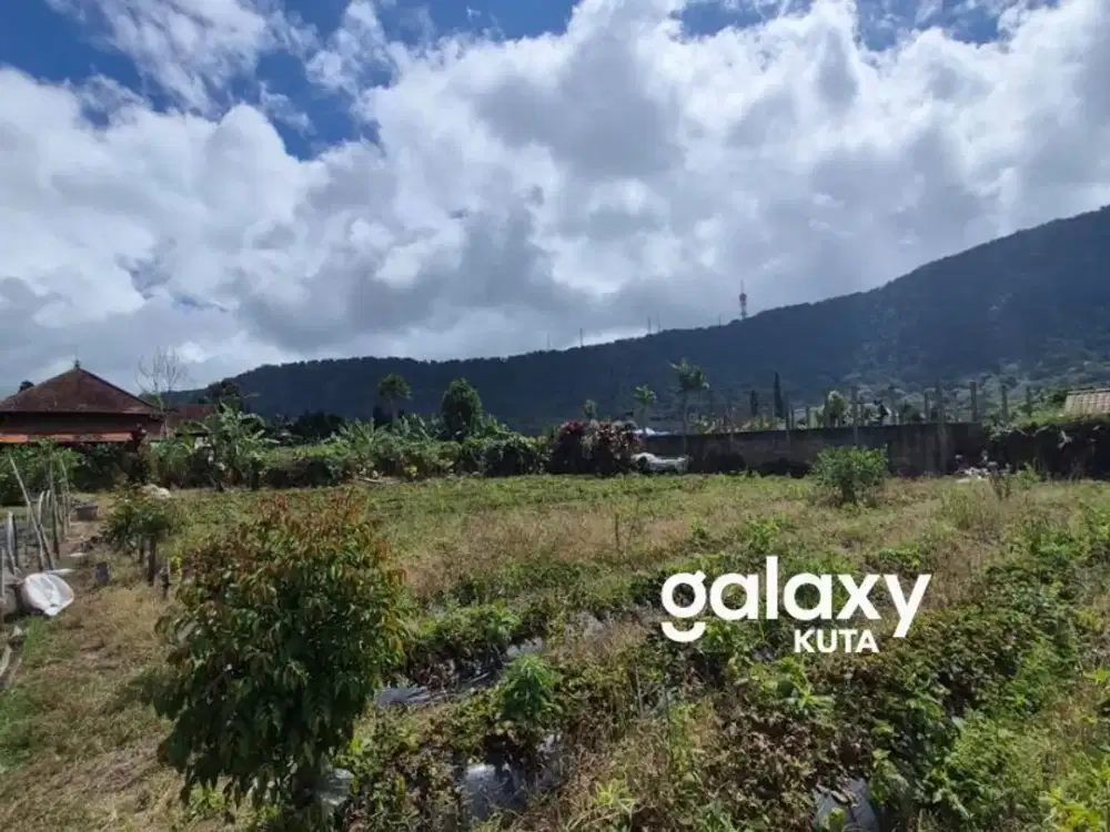 DIJUAL TANAH RAYA BEDUGUL PANCASARI BULELENG