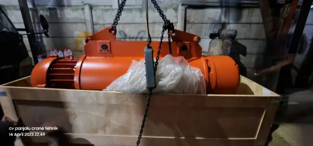 Electric chain hoist