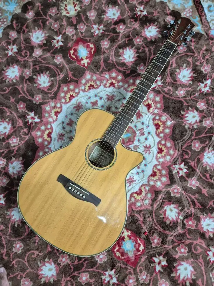 Ibanez AEG8E Akustik Elektrik
