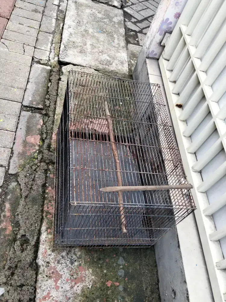 Sangkar pokan burung
