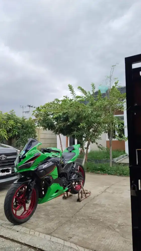 Kawasaki Ninja 250 FI SE cover ZX