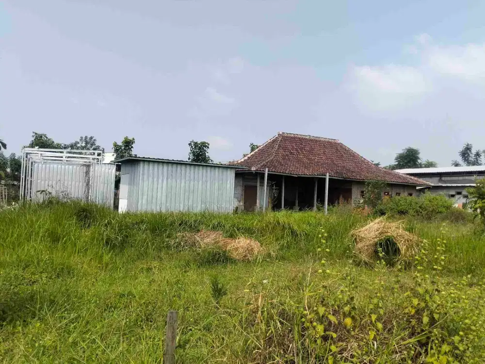 Sewa Lahan Tanah Dau cocok buat Cafe Malang  luas 600 m2