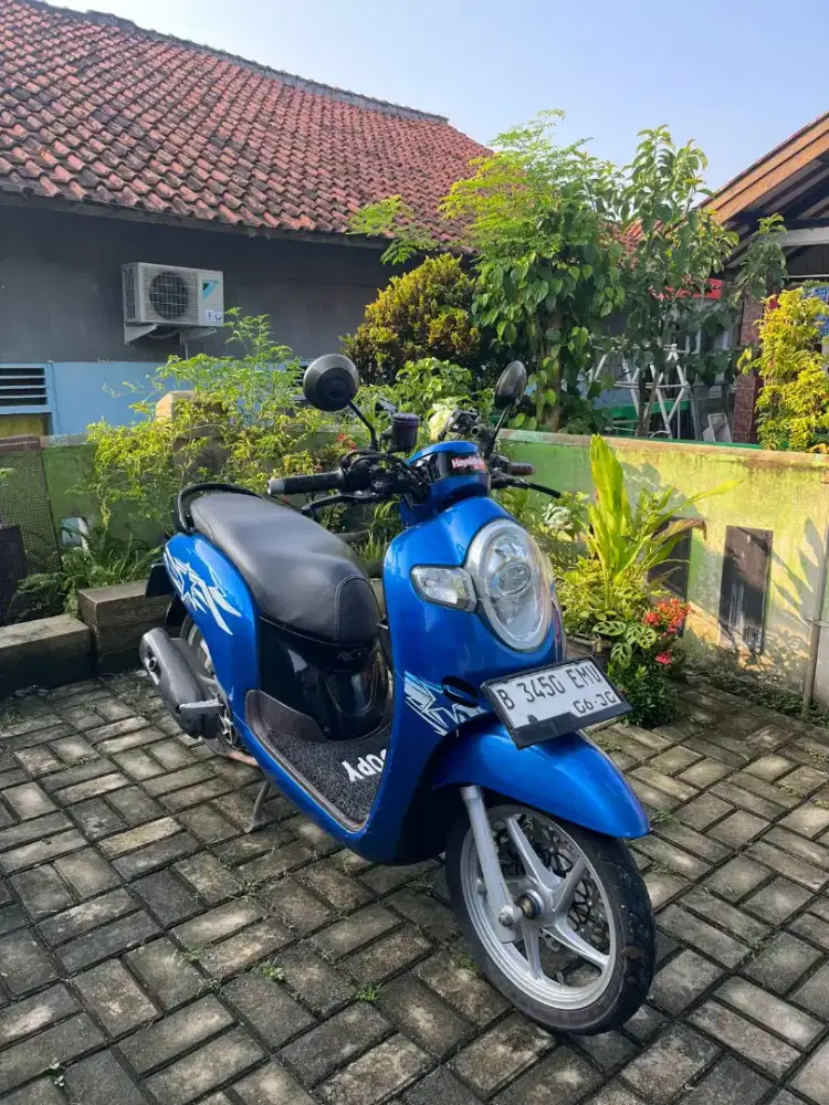 Scoopy ban donat
