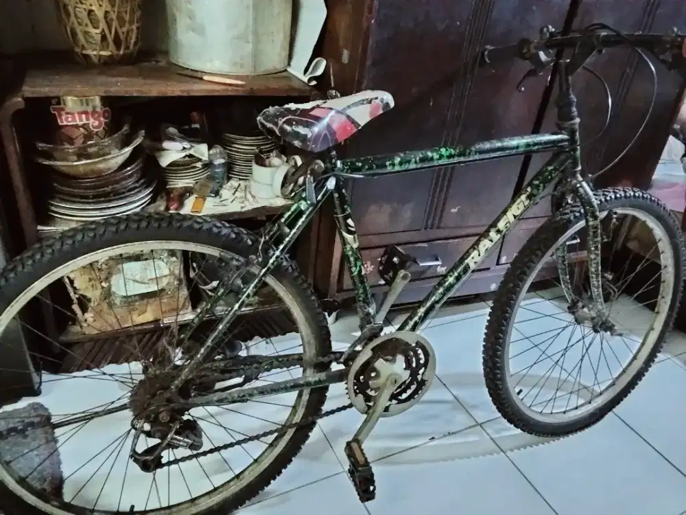 Sepeda gunung RALEIGH