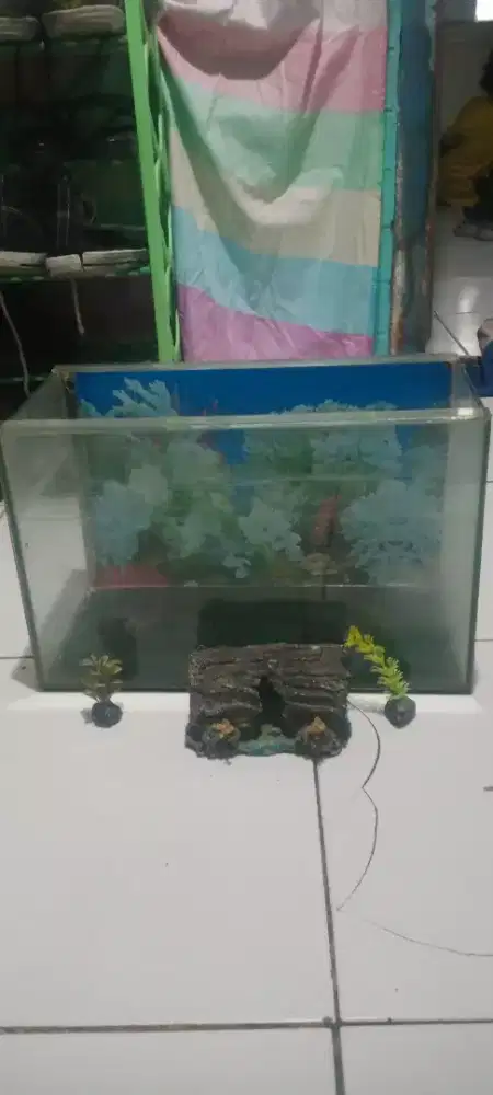 Di jual aqrium murah