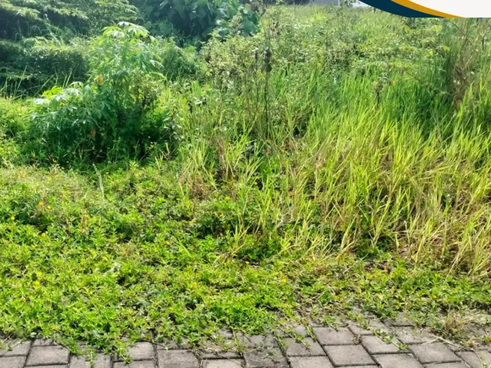 Dijual Tanah Murah Area Tabanan Siap Bangun SHM