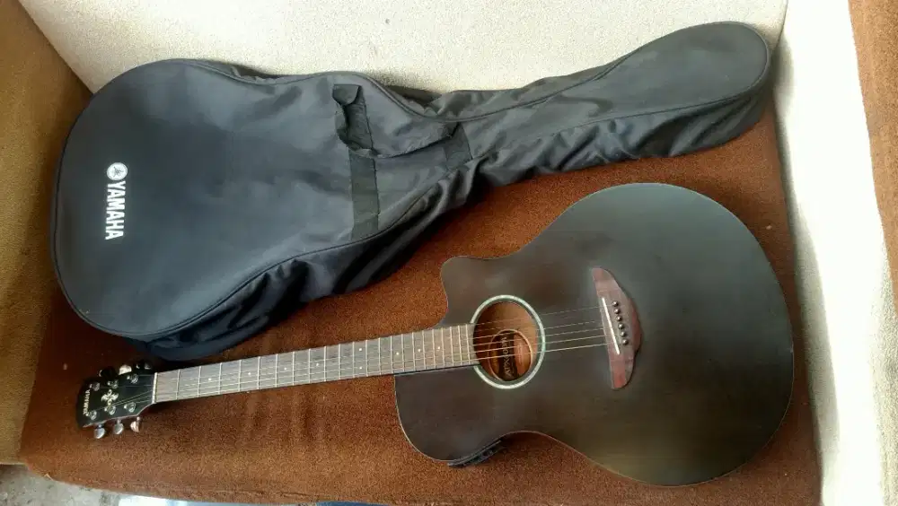 Yamaha apx600m original