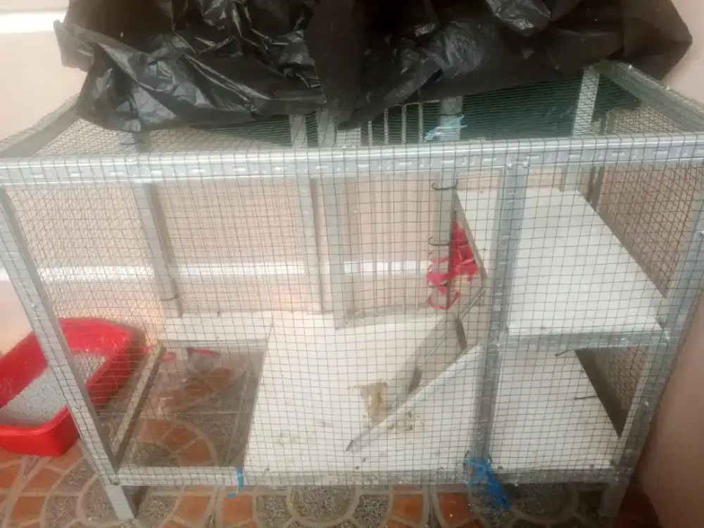 Kandang plus kucing