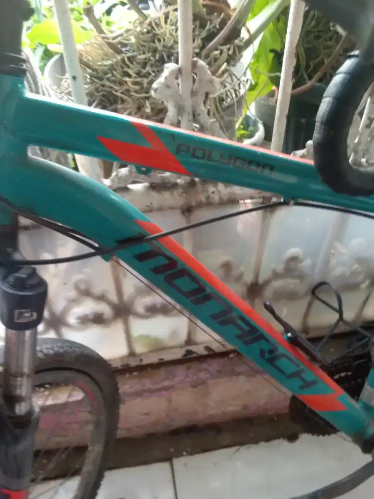 Sepeda polygob monarac m5