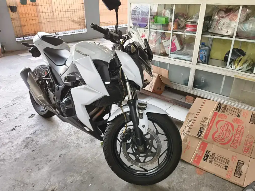 Kawasaki Z250 2013