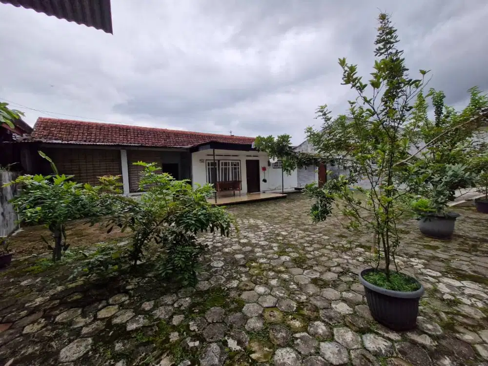 Dijual dan Harus Terjual Rumah dengan Halaman Luas