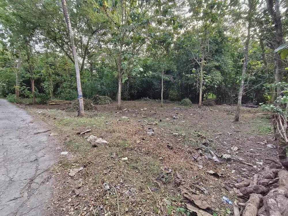 Dijual tanah LT 786 m2 LD 22 m dekat Sekolah Rakyat Kulon Progo