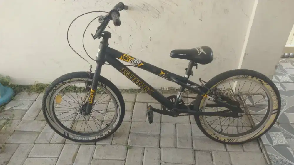 Sepeda BMX dan Sepeda Anak Cewek
