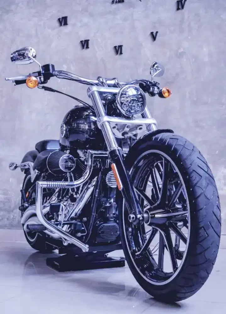 Harley davidson breakout