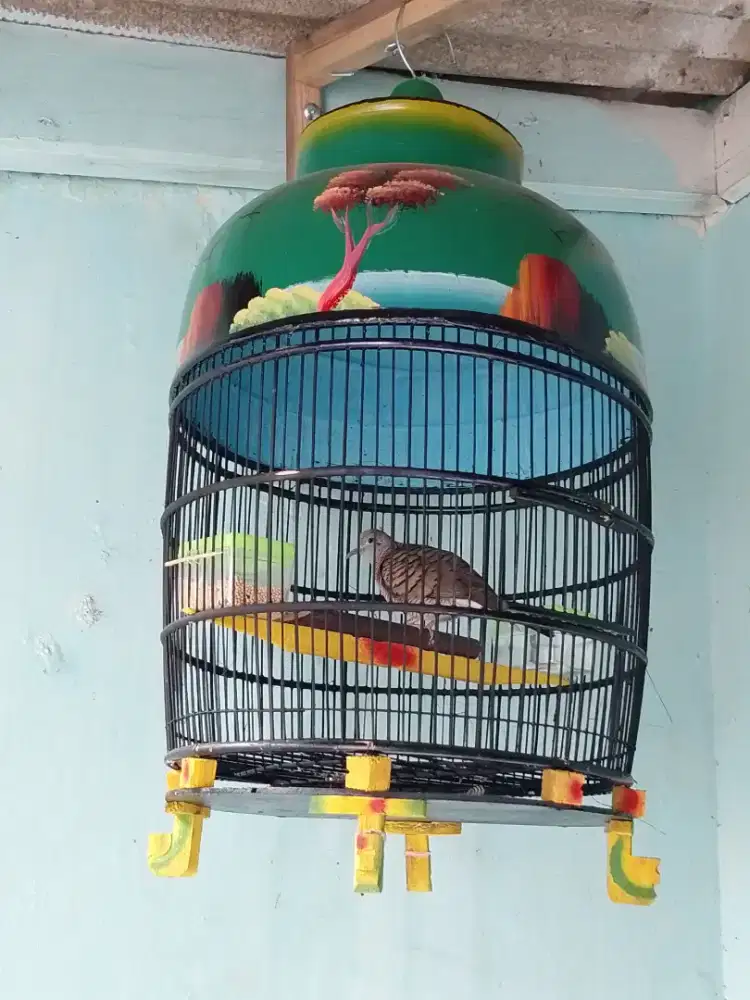 Burung perkutut