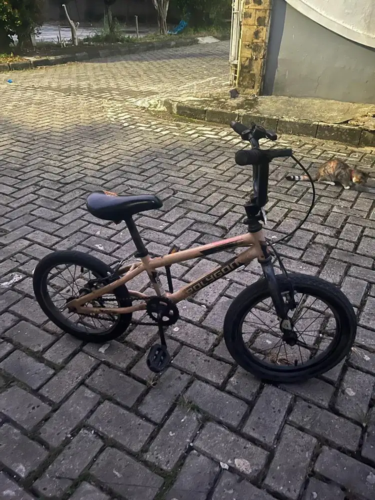 Sepeda anak polygon crosser 16