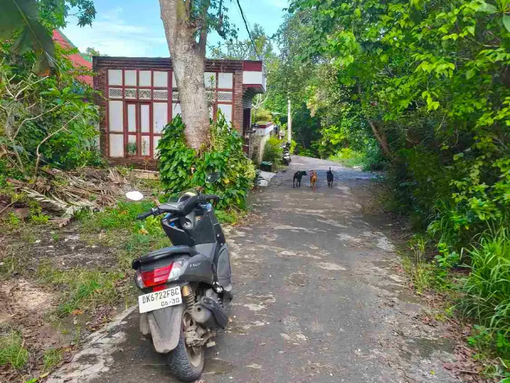 dijual tanah 5 are IDR 550 juta per are Kawasan belimbing sari pecatu Kuta Selatan Badung Bali
