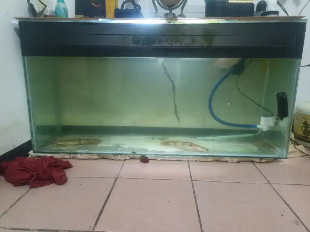 aquarium 120 x 40x60 beserta  filternya dan aeratornya