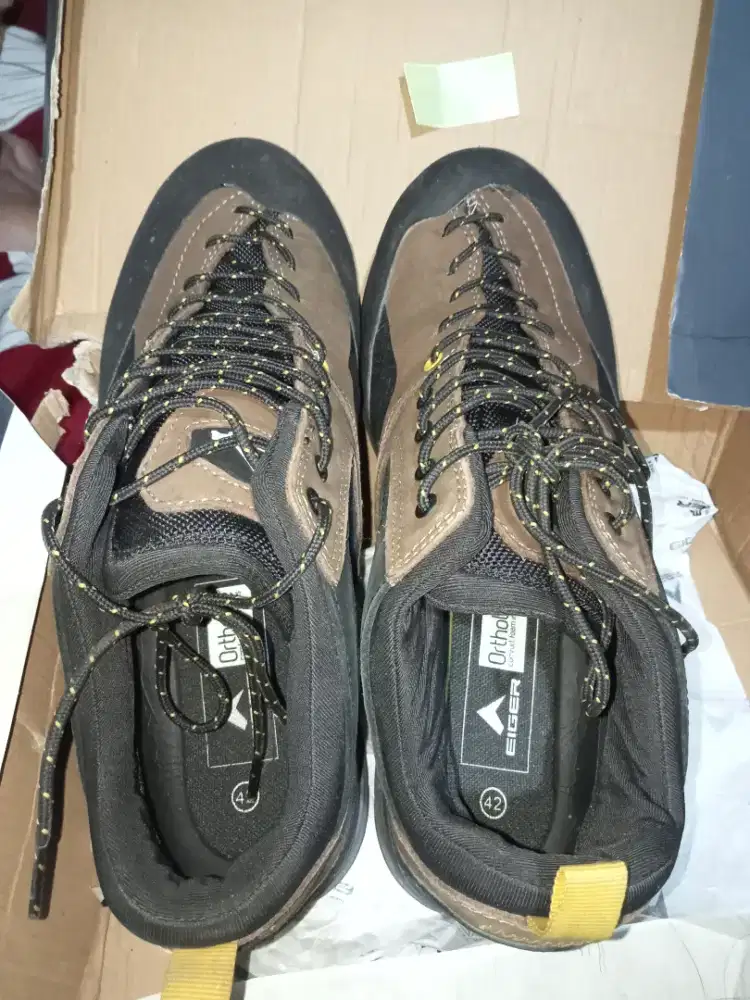 SEPATU EIGER ORI
