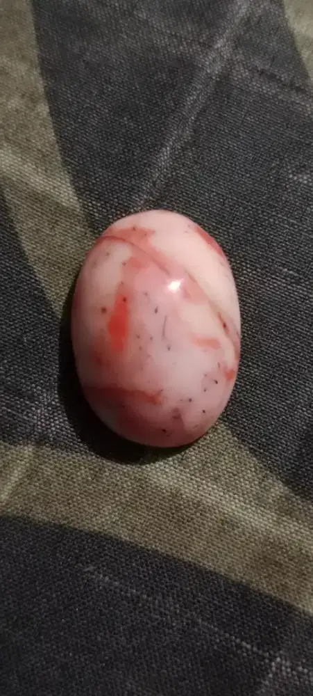 Batu marjan pasific