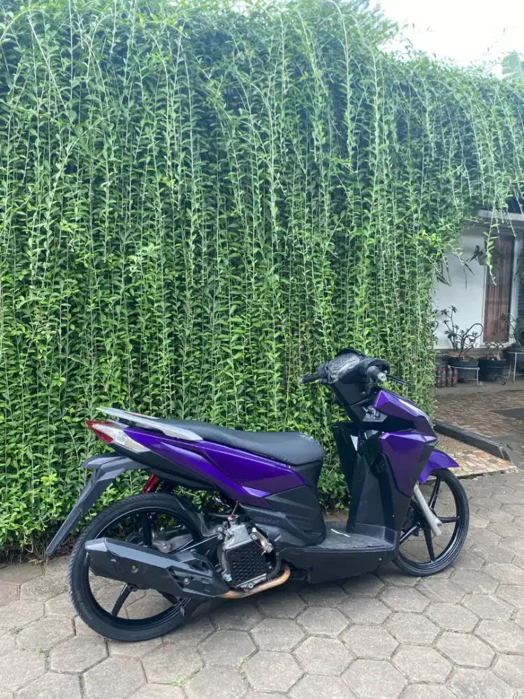 Vario 2017 150 old