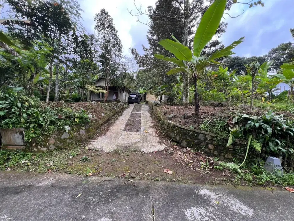 Jual Tanah Murah Blitar 1590m² Bonus Rumah & Kebun Durian Gandusari