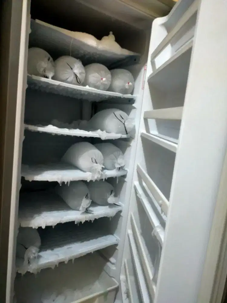 Freezer (5rak/ambal)