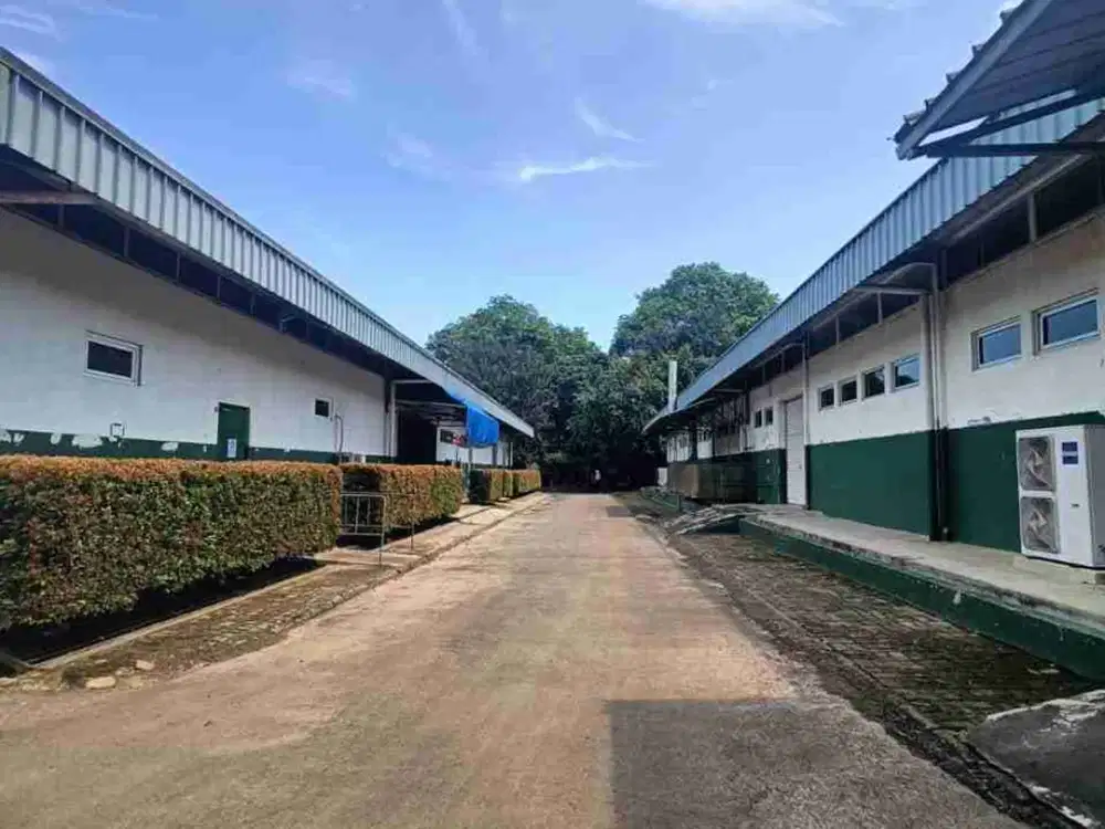 DIJUAL CEPAT 

Pabrik (masih aktif) 
Lokasi Padurenan, Gunung Sindur bogor rp. 55 miliar