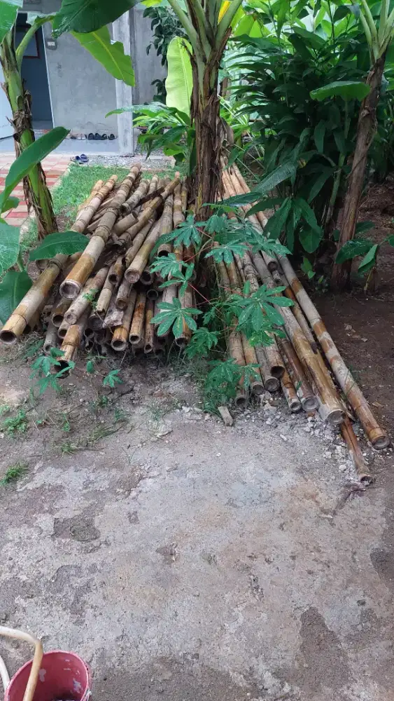 Bambu Bekas Cor Rumah