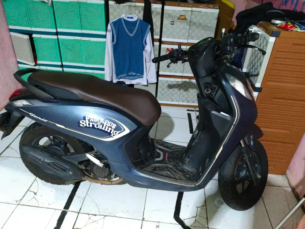 Jual aja ni genio