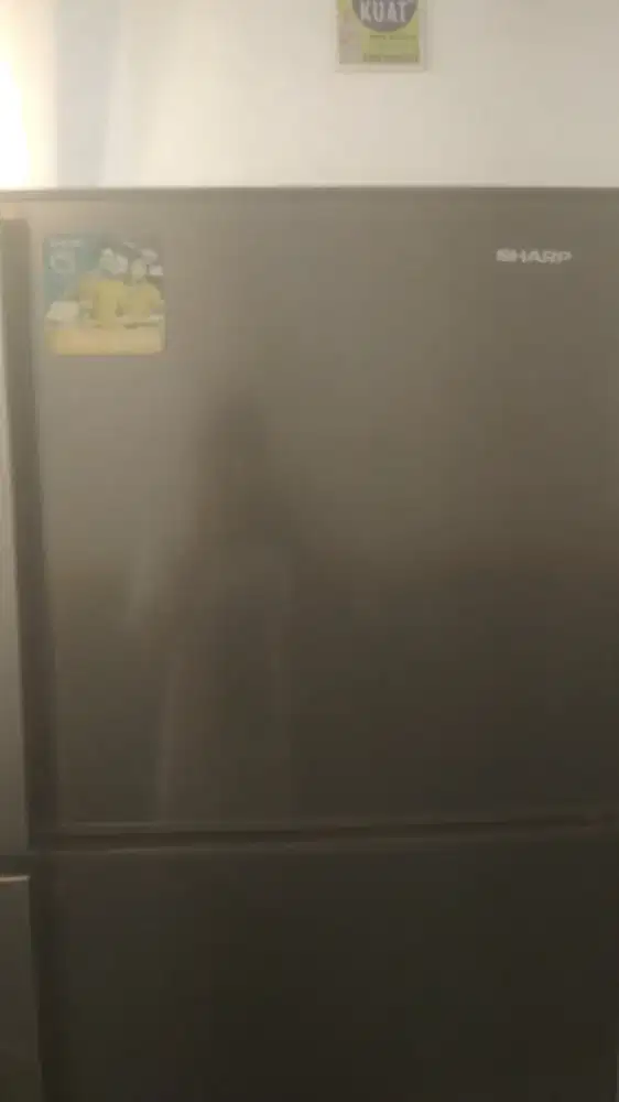 kulkas sharp dua pintu normal