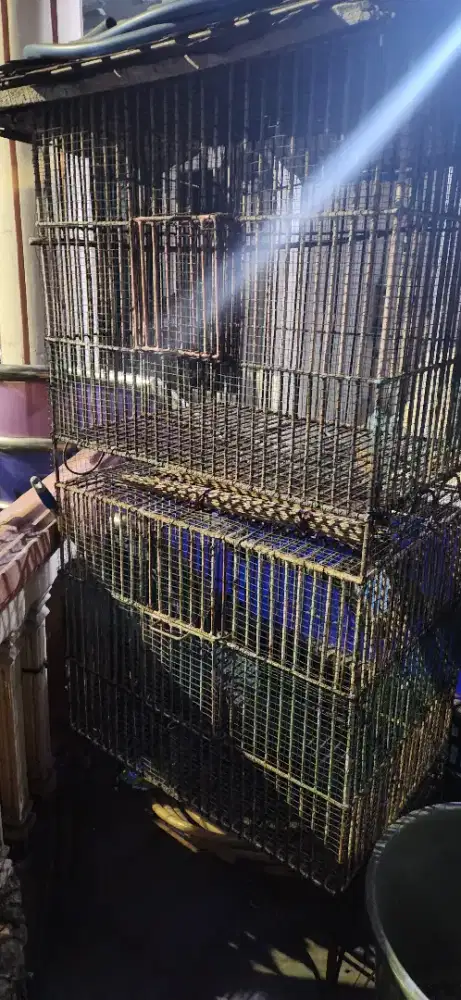 Kandang besi kokoh