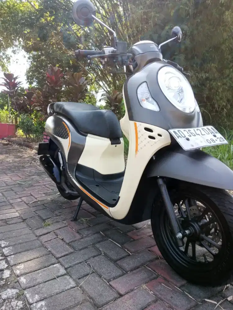 Jual scupy 2024 ad solo