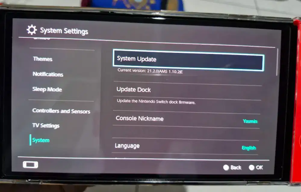 Switch oled dual boot 256 gb