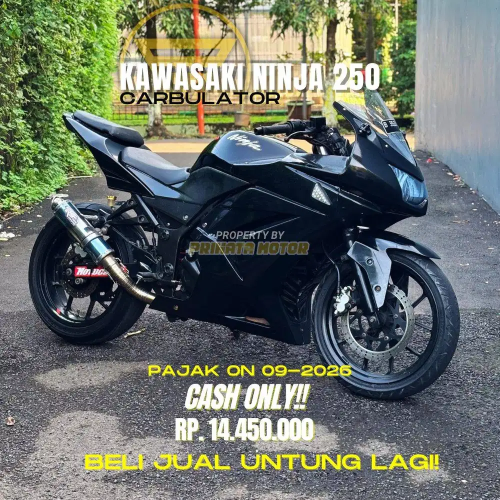KAWASAKI NINJA 250 KARBU 2010