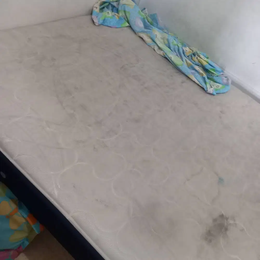 Kasur Comforta Springbed doble size 160 x 200