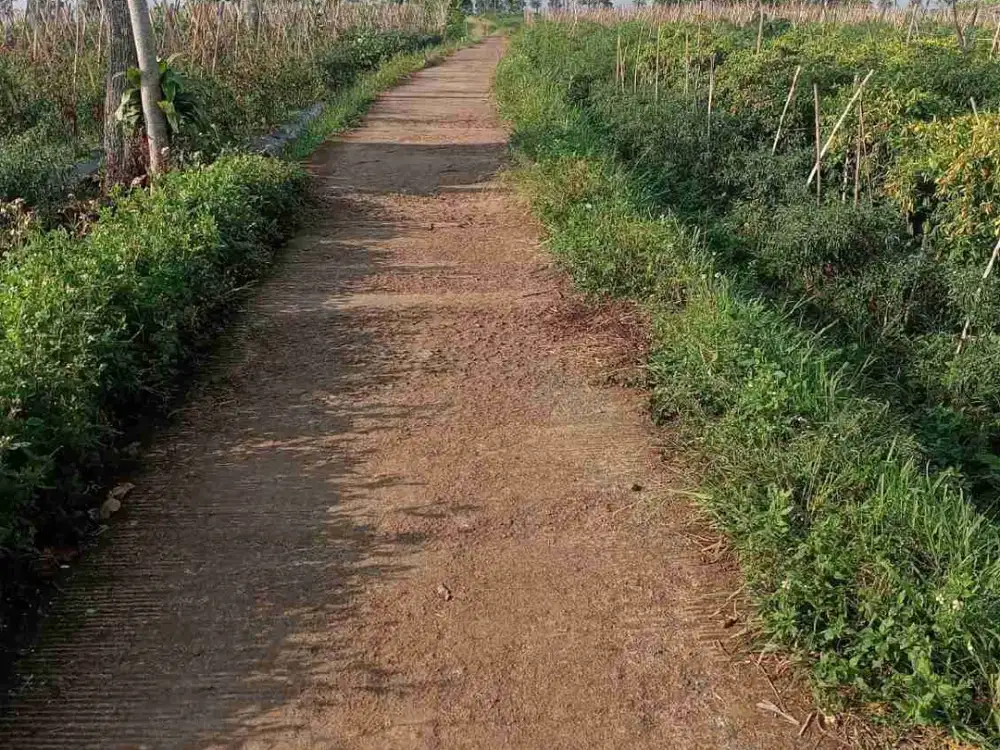 Di Jual Tanah Kebun Sumedang dekat pintu Tol