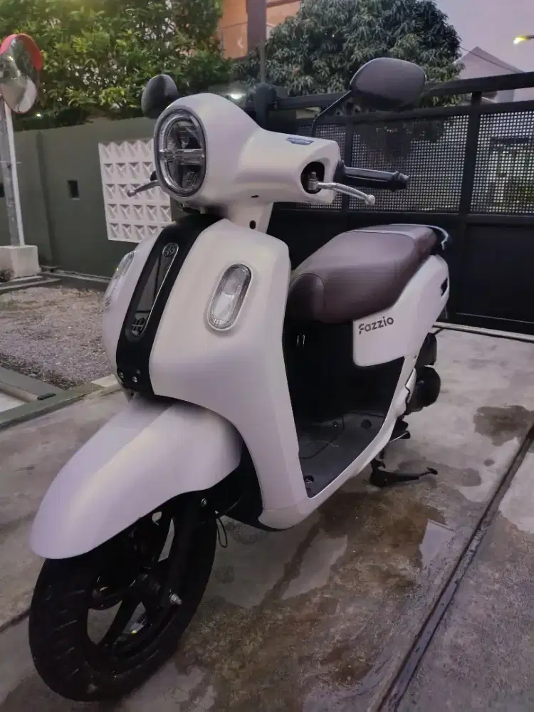 Fazzio Lux 2023